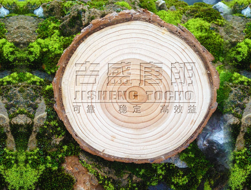 榉木多层板.jpg
