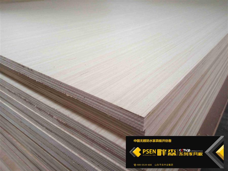 畔森-山东千森木业集团有限公司01.jpg