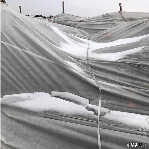 微信图片_20190403175015.png